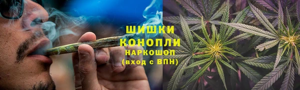 трава Белокуриха