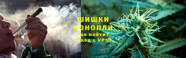 трава Белокуриха