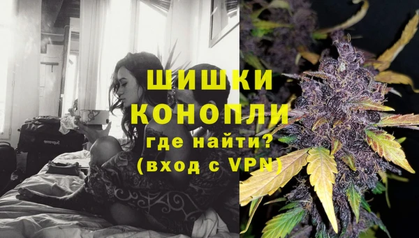 трава Белокуриха