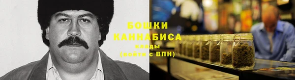 трава Белокуриха