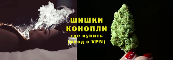 трава Белокуриха