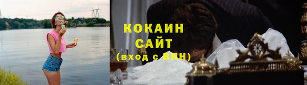 трава Белокуриха