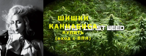 ПСИЛОЦИБИНОВЫЕ ГРИБЫ Белоозёрский