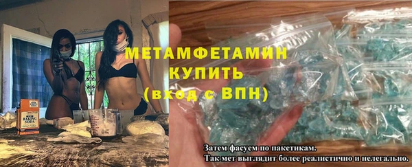 трава Белокуриха