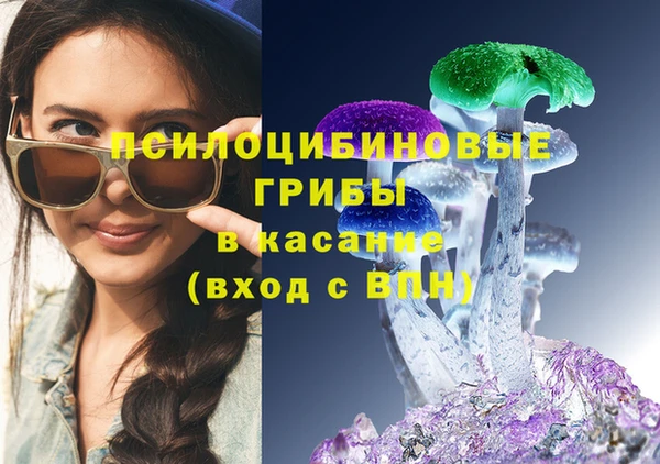 ПСИЛОЦИБИНОВЫЕ ГРИБЫ Белоозёрский