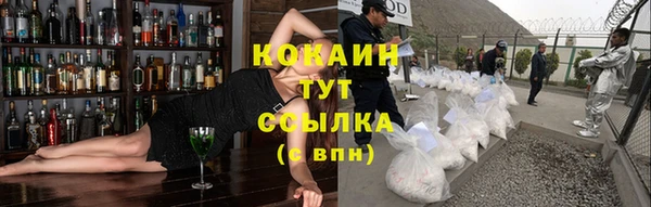 прущие грибы Ростов