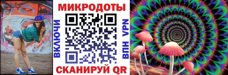 как найти наркотики  Няндома  Псилоцибиновые грибы мухоморы 